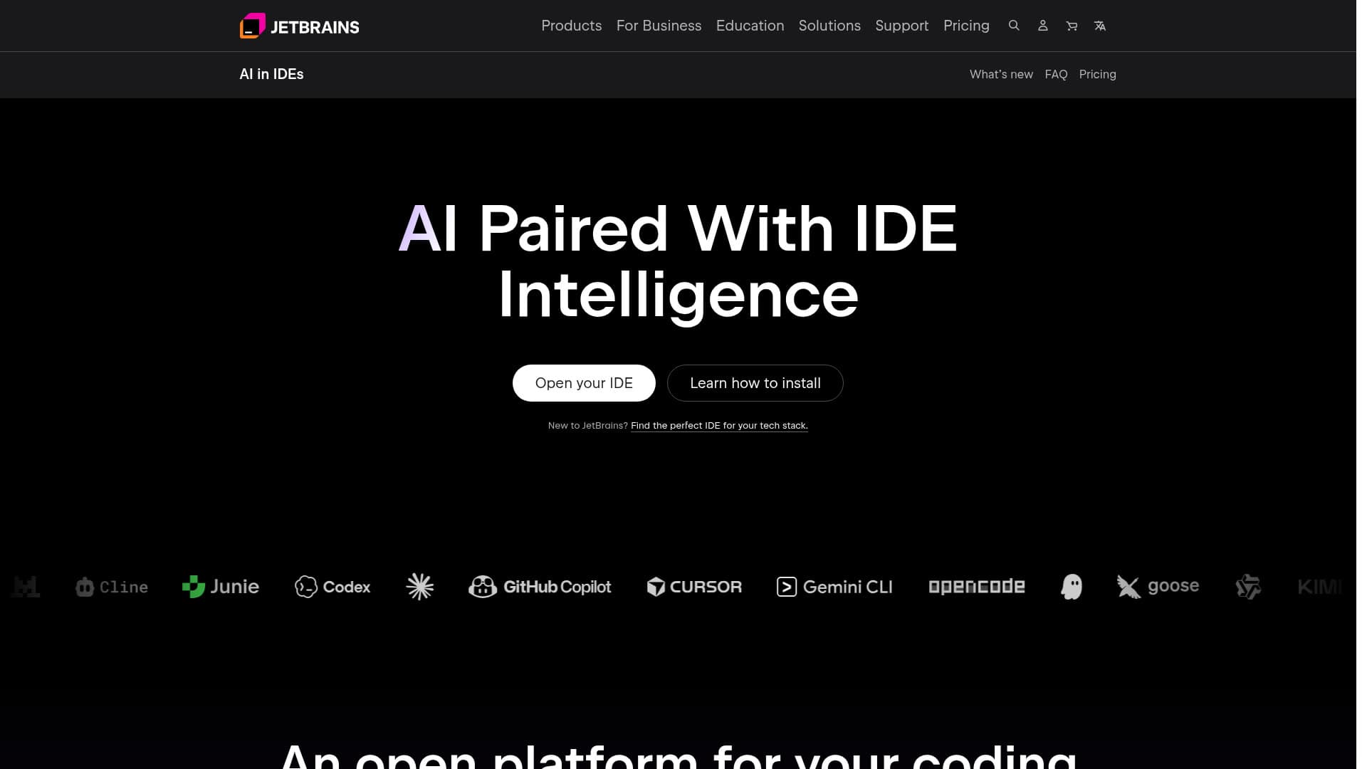 Screenshot of the JetBrains AI Assistant website